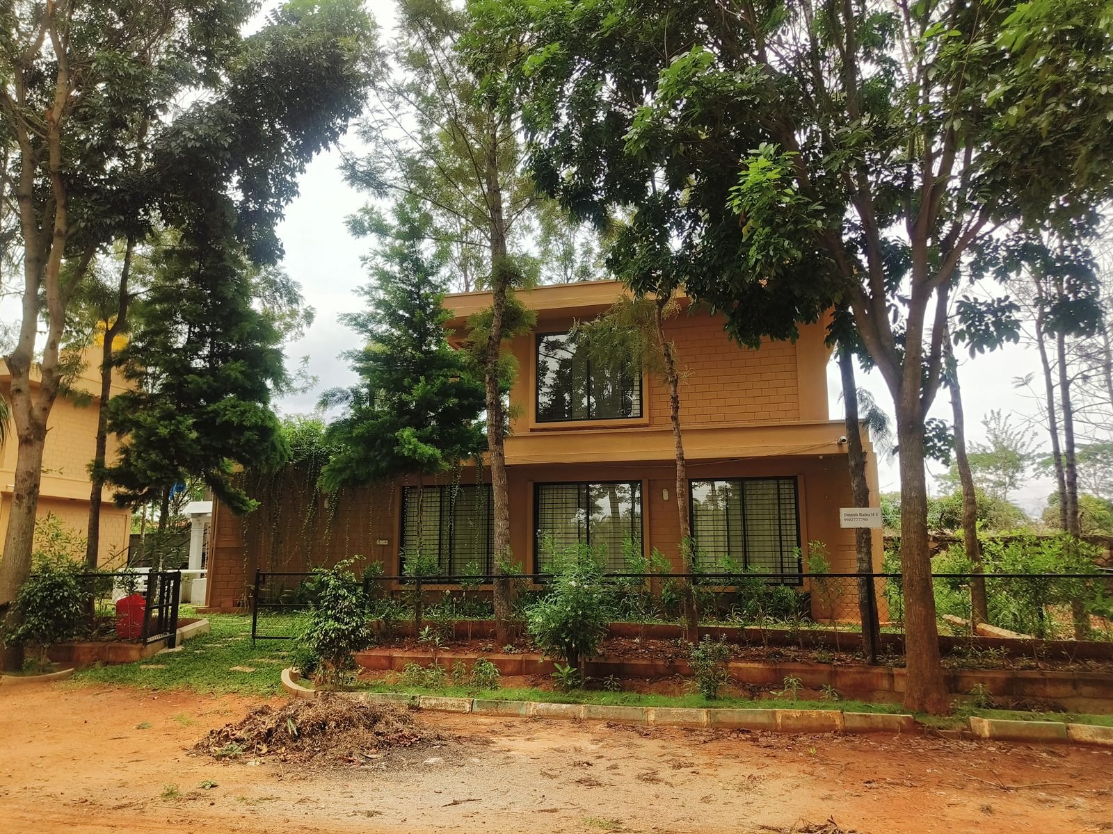 Panoramic windows and surrounding tree canopy